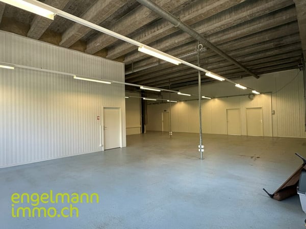 Gewerbefläche / Surface commerciale 7