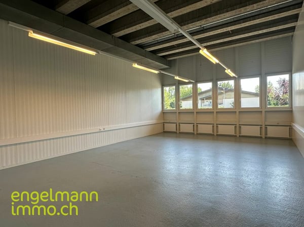 Gewerbefläche / Surface commerciale 4
