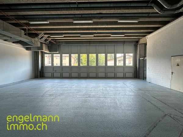 Gewerbefläche / Surface commerciale 5