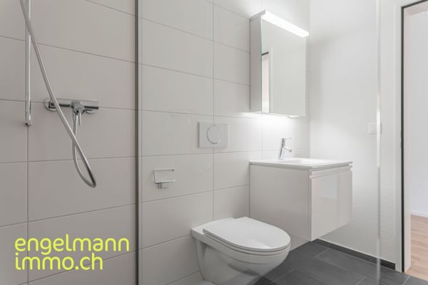 4.5 Zimmerwohnung / Appartement de 4.5 pièces 9