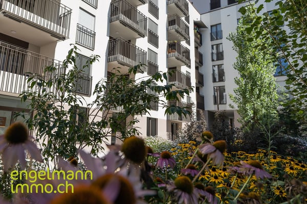 2.5 Zimmerwohnung / Appartement de 2.5 pièces 12