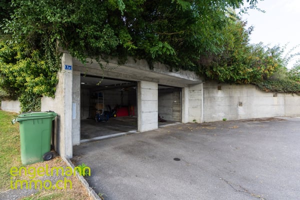 Grande Villa de Maître de 8.5 pièces avec grand jardin arborisé 14