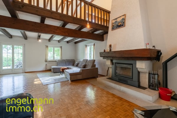 Grande Villa de Maître de 8.5 pièces avec grand jardin arborisé 5