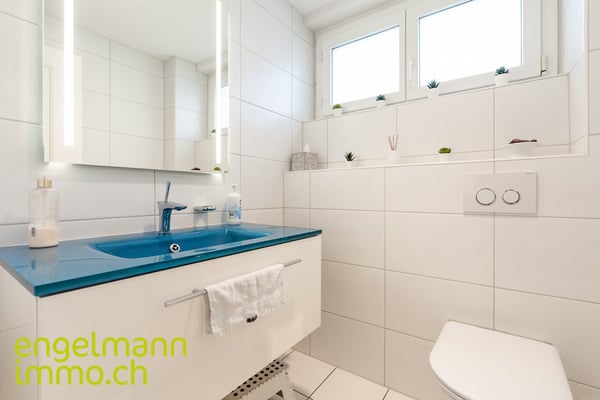 Immeuble de trois logements | Dreifamilienhaus 24