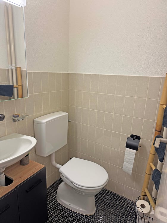 Preiswerte 3 ½-Zimmerwohnung in Watt 9
