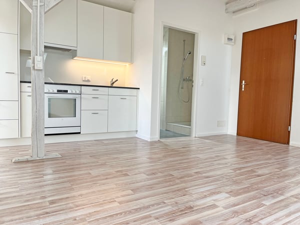 Ausgebaute Dachwohnung / Studio zu vermieten 4
