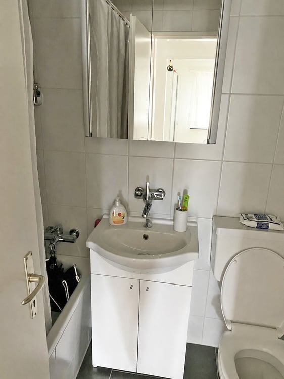 Moderne Singlewohnung am Fusse des Weiningerbergs 6
