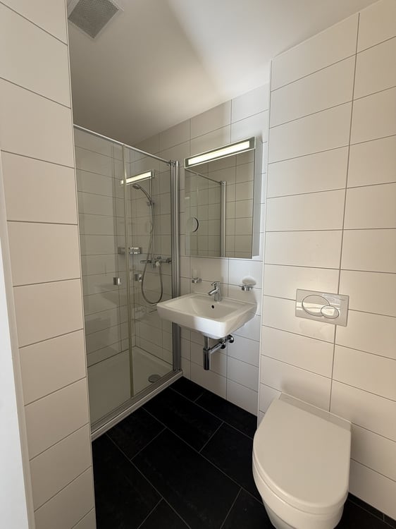 Grosszügige 1.5 Zimmerattikawohnung in Glis 8