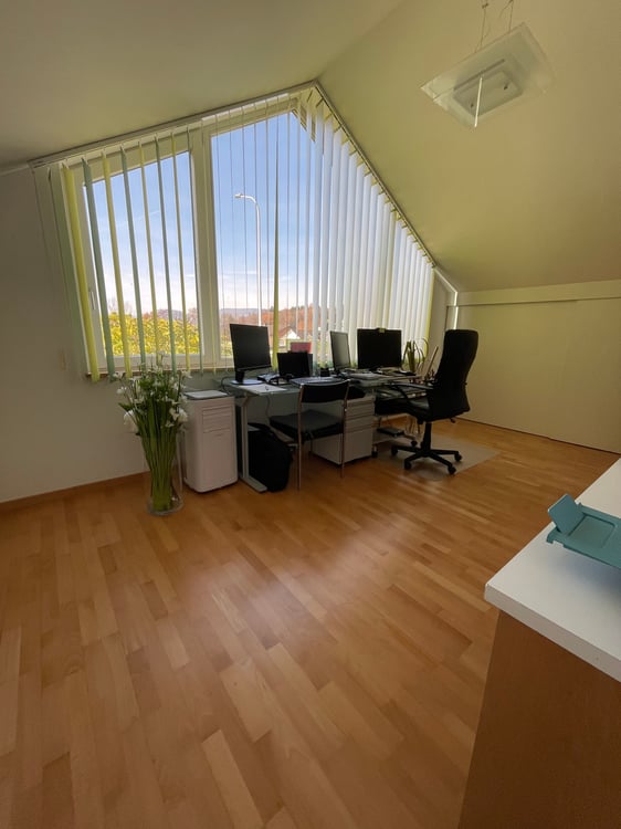 Attraktives 2½-Zimmer-Einfamilienhaus mit grossem Umschwung und Doppelgarage 3