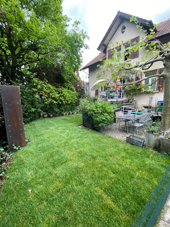 Trimbach