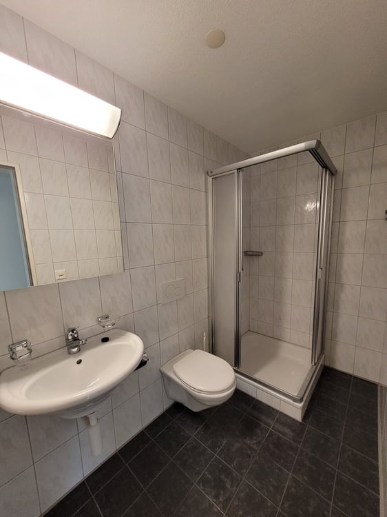 Charmante 4.5-Zimmer-Dachwohnung 7