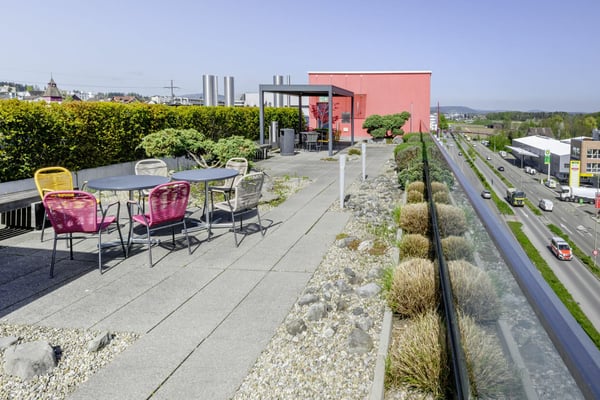 Aufbereitungsfläche nähe Flughafen Zürich 4