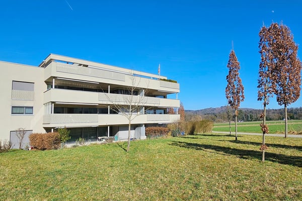 Wohnung zwischen der Limmat und dem Waldrand mit Weitsicht 1