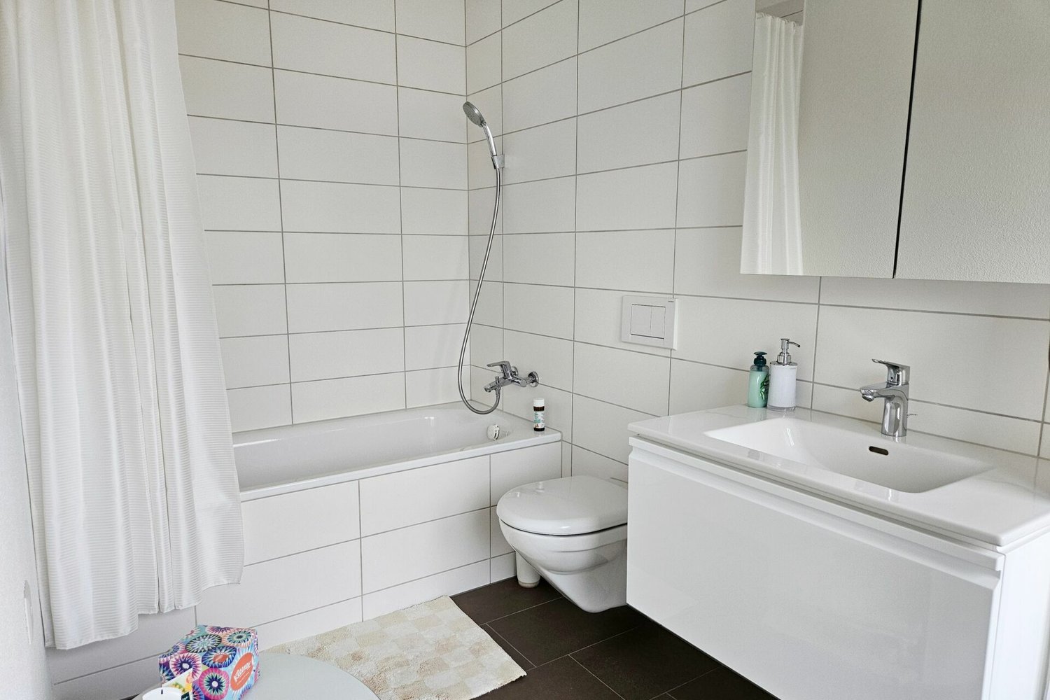 Wohnung zwischen der Limmat und dem Waldrand mit Weitsicht