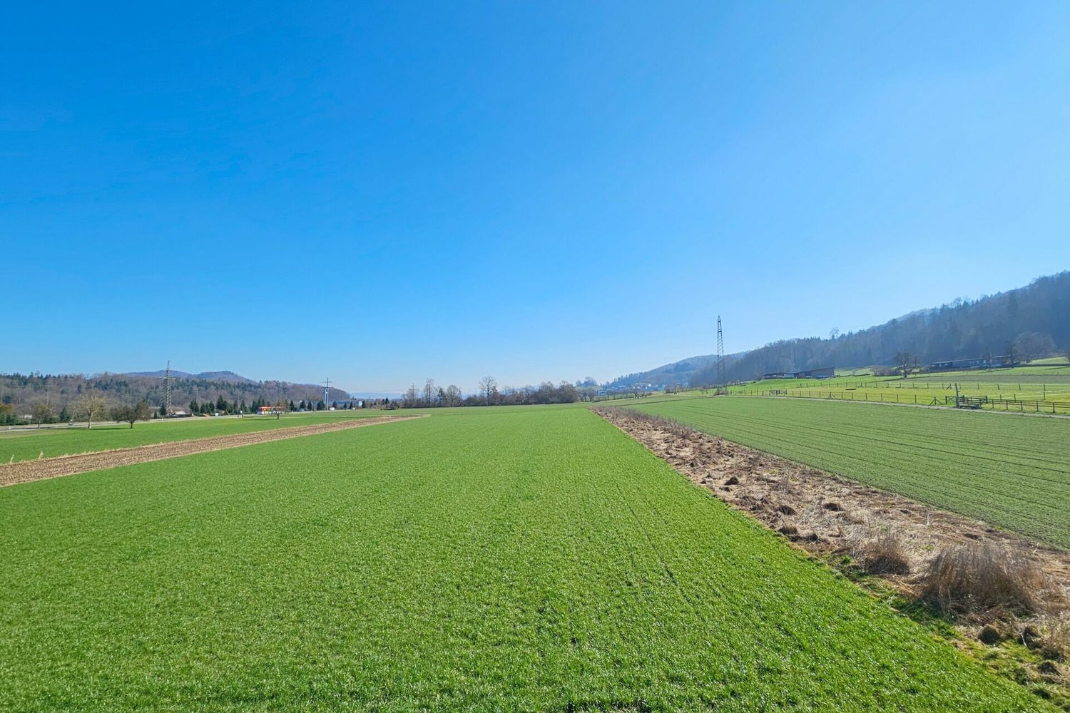Wohnung zwischen der Limmat und dem Waldrand mit Weitsicht