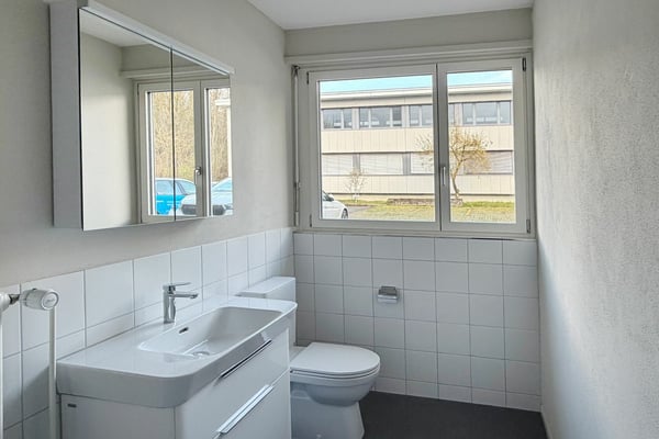 Erdgeschosswohnung nahe Zürich 8