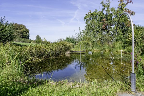 Bauernhaus am Waldrand mit Schwimmteich und eigener Quelle 14