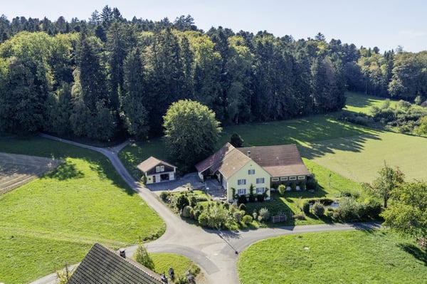 Bauernhaus am Waldrand mit Schwimmteich und eigener Quelle 15