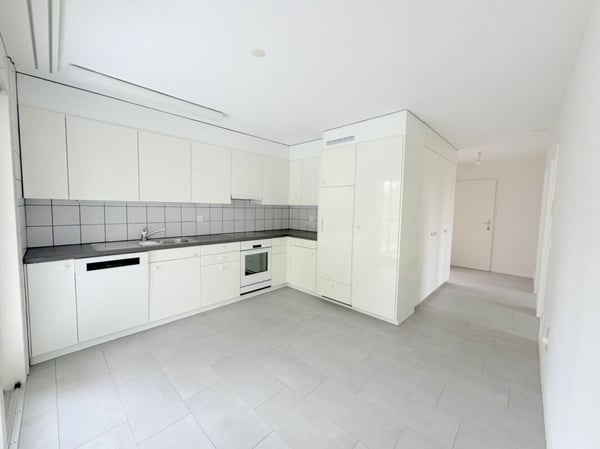 Attikawohnung mit separater Dachterrasse und fantastischer Aussicht 7