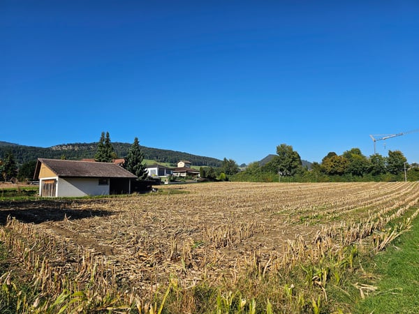 Eine der letzten grossen Baulandparzellen in Lostorf 6