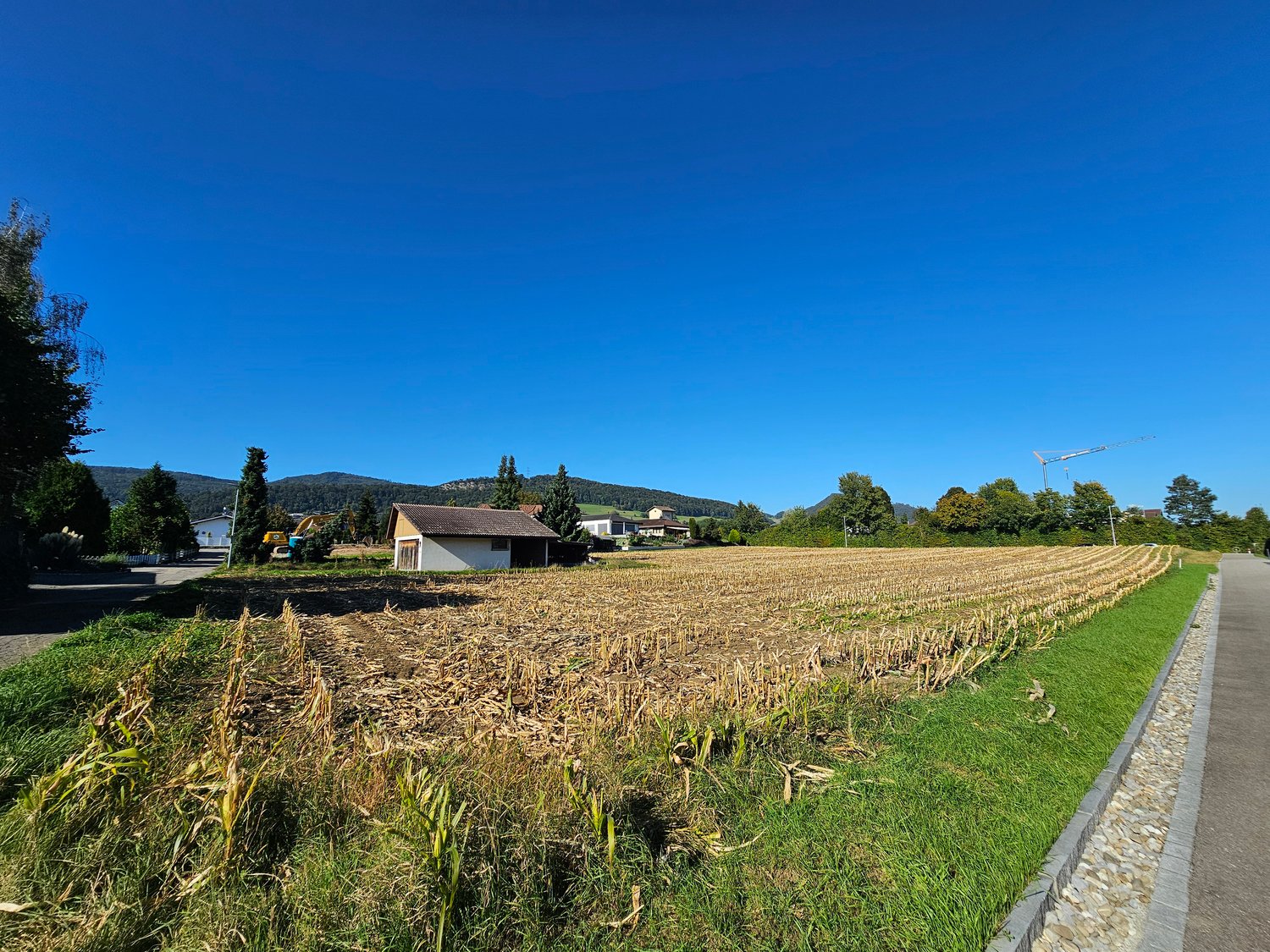 A harvested field, with patches of soil and grass, surrounded by trees and a road, and a small building in the distance.