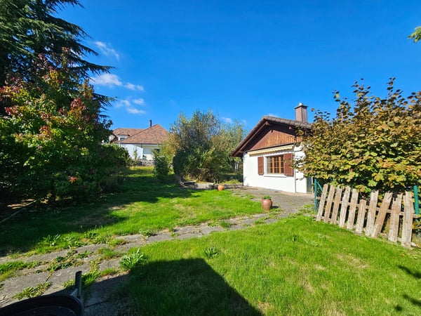 Sehen... Staunen... Kaufen! 9