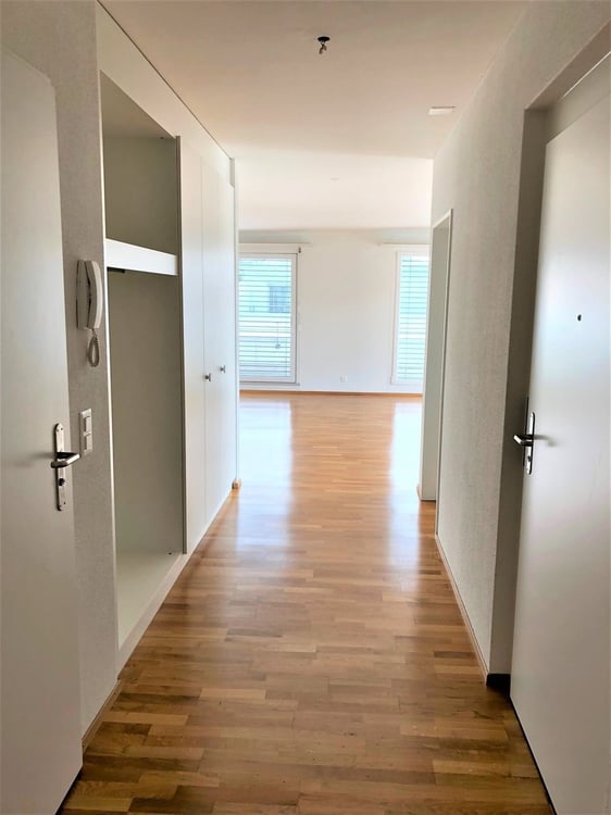 1.5 Zimmerattikawohnung mit grosser Terrasse 3