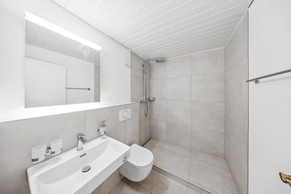 Erstbezug nach Totalsanierung 4