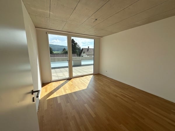 Helle 1.5-Zimmer-Attikawohnung in Wangen bei Olten 5