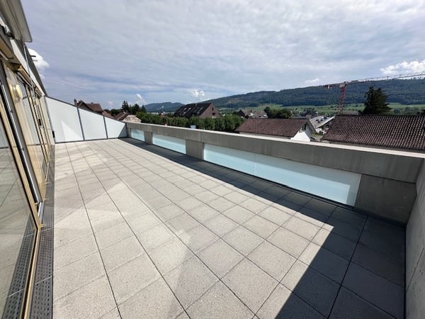 Helle 1.5-Zimmer-Attikawohnung in Wangen bei Olten 10