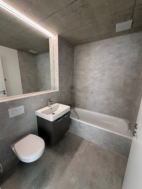 Helle 1.5-Zimmer-Attikawohnung in Wangen bei Olten 9