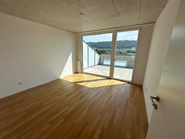 Helle 1.5-Zimmer-Attikawohnung in Wangen bei Olten 6