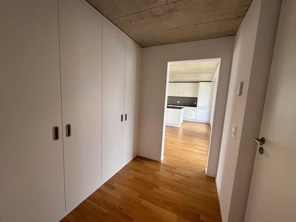 Helle 1.5-Zimmer-Attikawohnung in Wangen bei Olten 7
