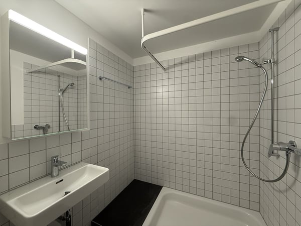 Maisonette Loftwohnung in Wangen bei Olten 4