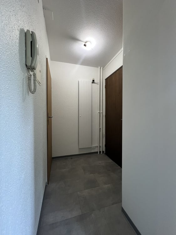 Grosszügige und helle 1-Zimmerwohnung mit Balkon 3