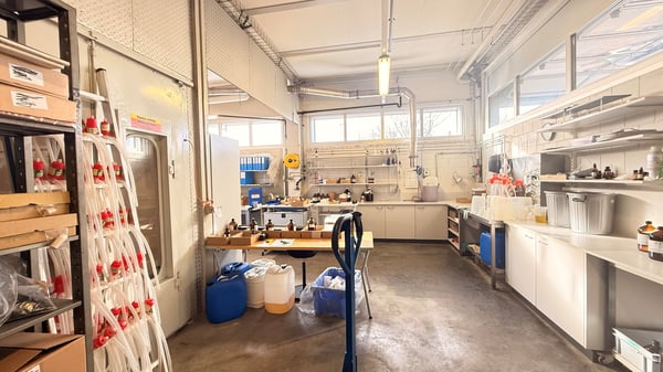 grosse Räumlichkeiten für Ihr Gewerbe 8