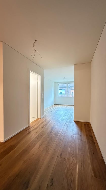1.5 Zimmer Wohnung, 130 m2 5