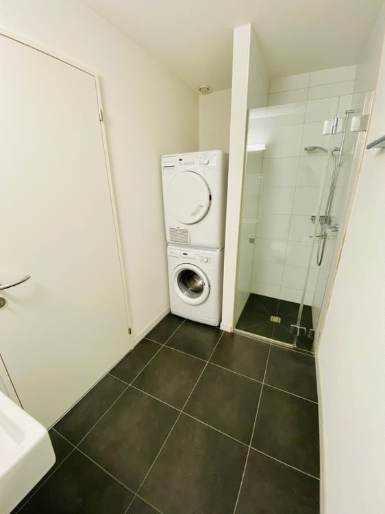 1.5 Zimmer Attikawohnung - Weihnachtsangebot: Ein Monat geschenkt 5