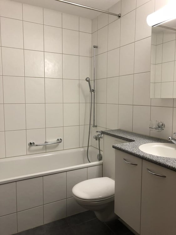 1.5 Zimmer Wohnung 3
