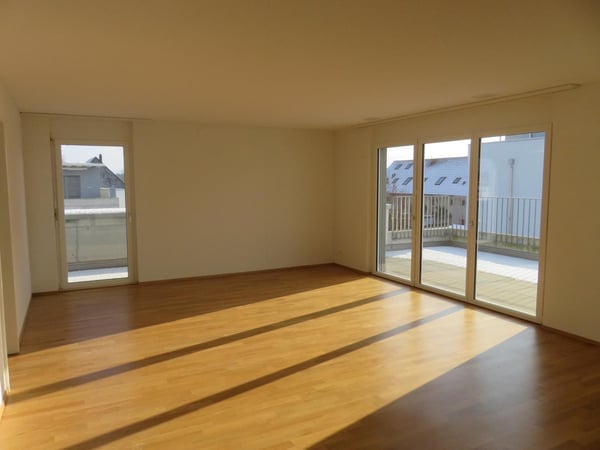 1.5-Zimmer Attikawohnung 1