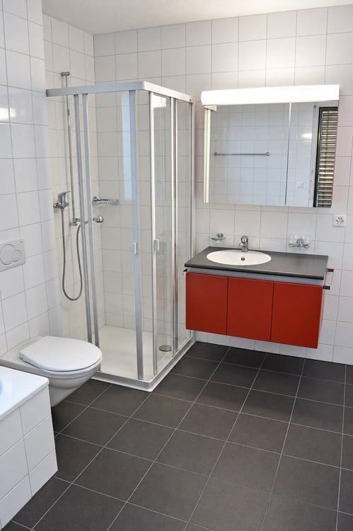 4.5 Zimmer Attikawohnung 5