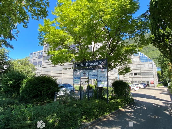 Moderne Büroflächen mit flexiblen Grundrissen 1