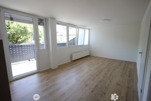 Neu sanierte 1-Zimmer-Wohnung im Zentrum von Biel 5