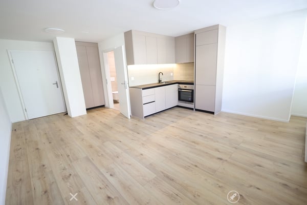 Neu sanierte 1-Zimmer-Wohnung im Zentrum von Biel 3