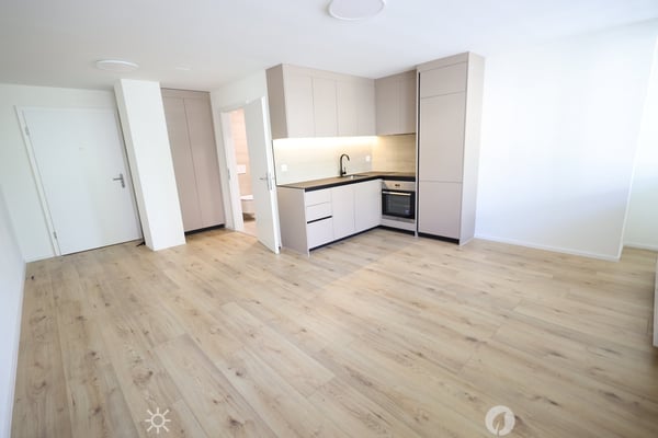 Neu sanierte 1-Zimmer-Wohnung im Zentrum von Biel 3