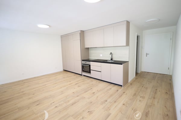 Neu sanierte 1-Zimmer-Wohnung im Zentrum von Biel 1