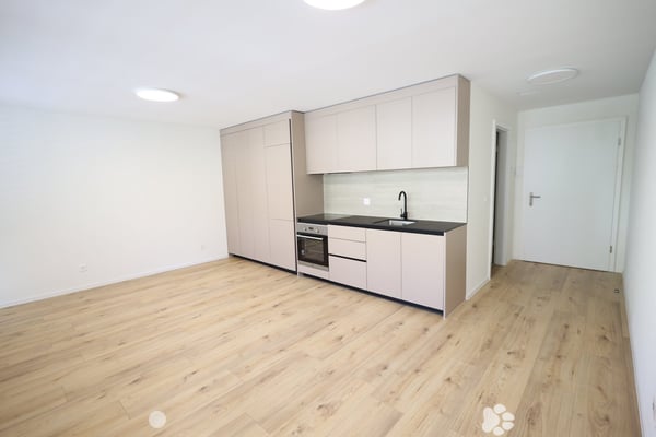 Neu sanierte 1-Zimmer-Wohnung im Zentrum von Biel 1