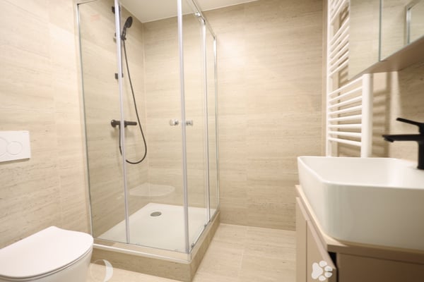 Neu sanierte 1-Zimmer-Wohnung im Zentrum von Biel 2