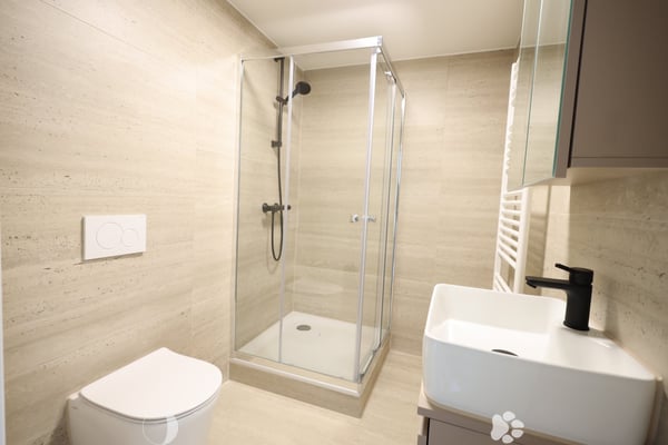 Neu sanierte 2-Zimmer-Wohnung im Zentrum von Biel 2
