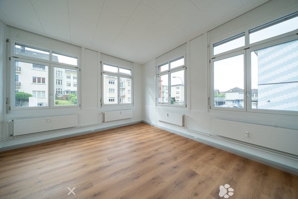 Renovierte Gewerbe- und Bürofläche ab sofort verfügbar 2